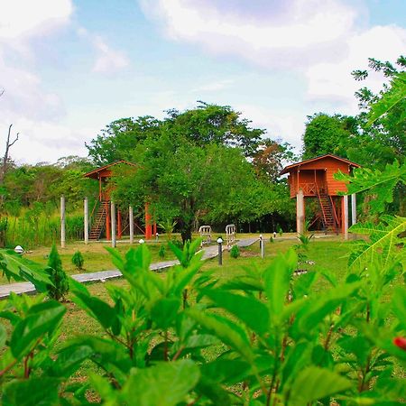 Sigiri Royal Point Tree House Hotel Sigiriya Exterior foto