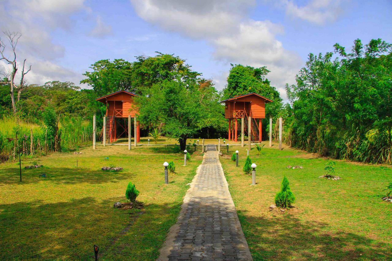 Sigiri Royal Point Tree House Hotel Sigiriya Exterior foto