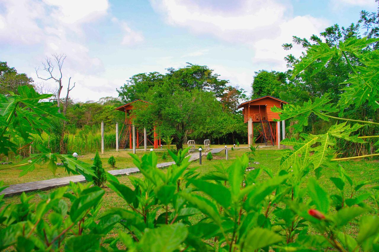 Sigiri Royal Point Tree House Hotel Sigiriya Exterior foto