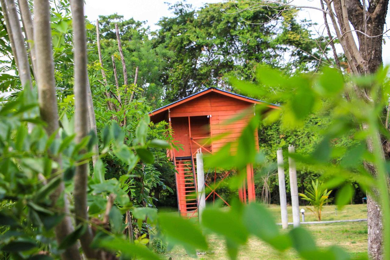 Sigiri Royal Point Tree House Hotel Sigiriya Exterior foto