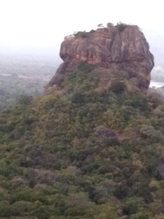 Sigiri Royal Point Tree House Hotel Sigiriya Exterior foto