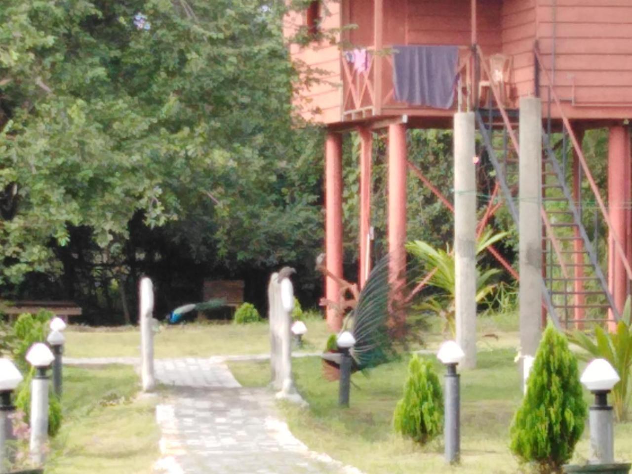 Sigiri Royal Point Tree House Hotel Sigiriya Exterior foto